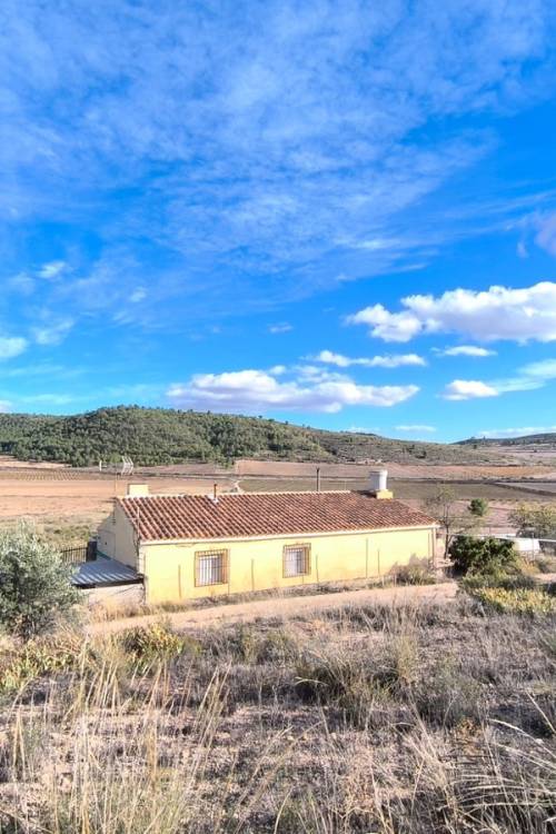 Country House - Sale - Yecla - Yecla Centro