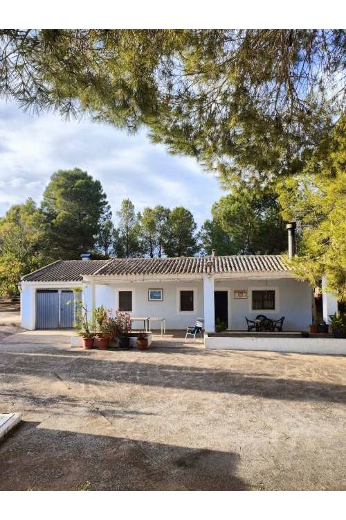 Country House - Sale - Yecla - Yecla Centro