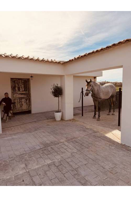 Country House - Venta - Algorfa - Algorfa Centro