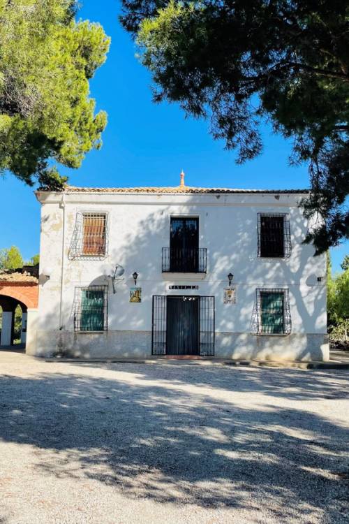 Country House - Venta - Jijona - Jijona Centro