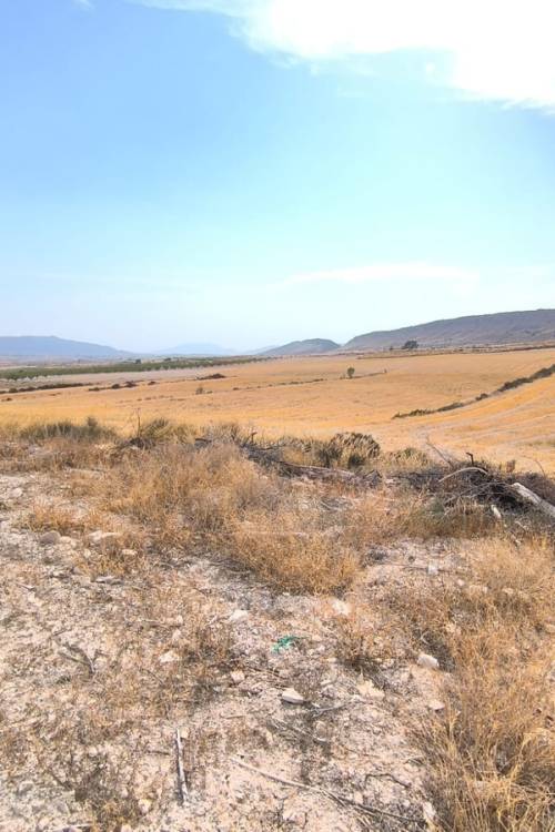 Country House - Venta - Jumilla - Jumilla Centro