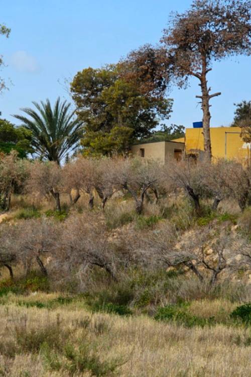 Country House - Venta - Murcia - El Cocon