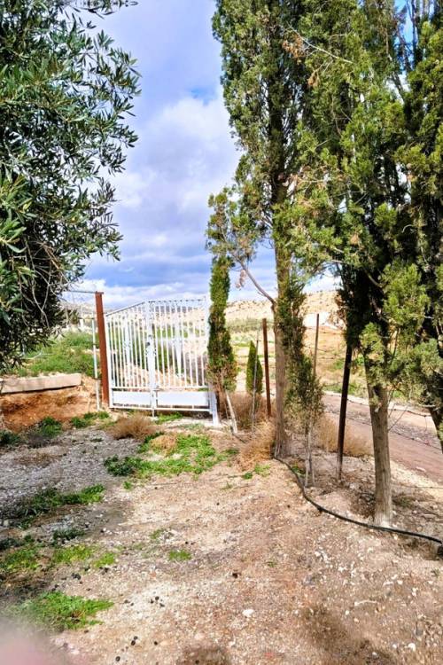 Country House - Venta - Novelda - Novelda Centro