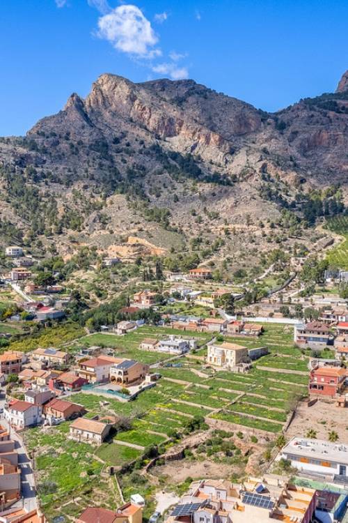 Country House - Venta - Orihuela - Orihuela Centro