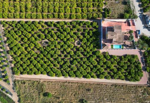 Country House - Venta - Orihuela - Orihuela Centro