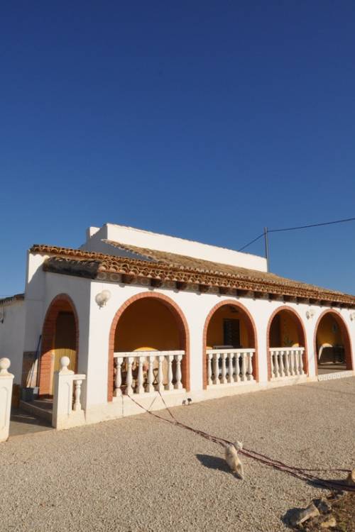 Country House - Venta - Pinoso - Pinoso Centro