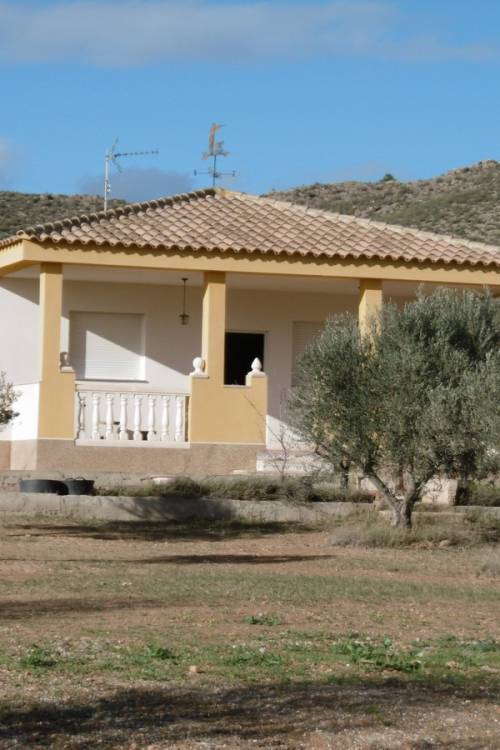 Country House - Venta - Yecla - Yecla Centro