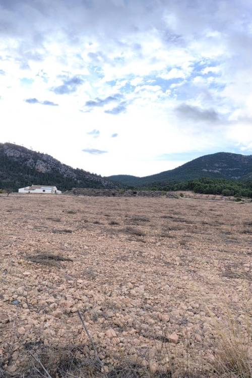 Country House - Venta - Yecla - Yecla Centro