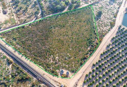 Country land - Sale - Crevillent - Comunidad valenciana