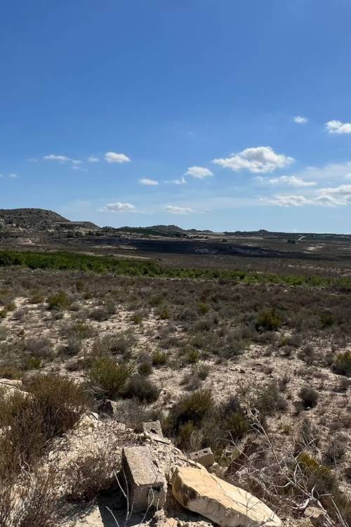 Finca / Country Property - Venta - Orihuela - Torremendo