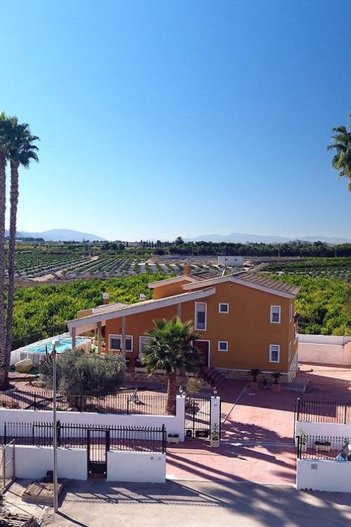 Finca - Sale - Orihuela - Orihuela