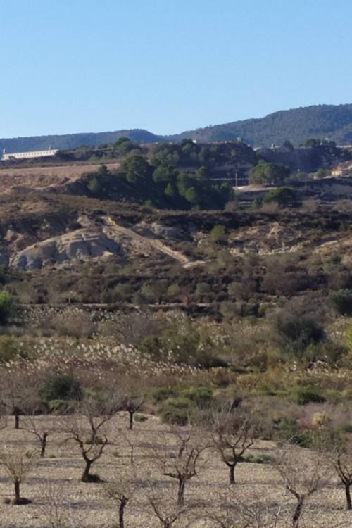 Finca - Sale - Orihuela - Zona Centro