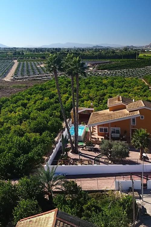 Finca - Venta - Orihuela - Correntías Medias