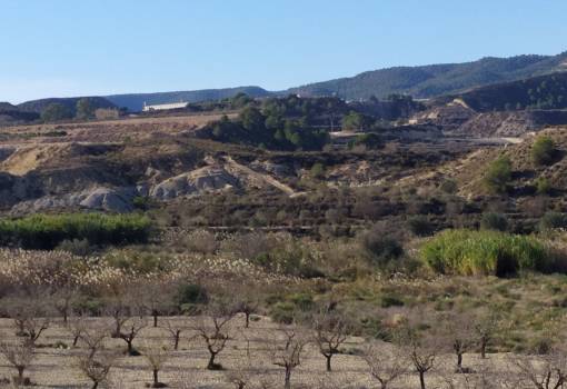 Finca - Venta - Orihuela - Zona Centro