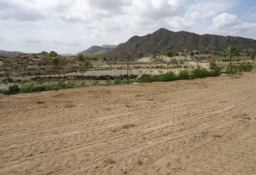 Land - Sale - Abanilla - Abanilla Centro