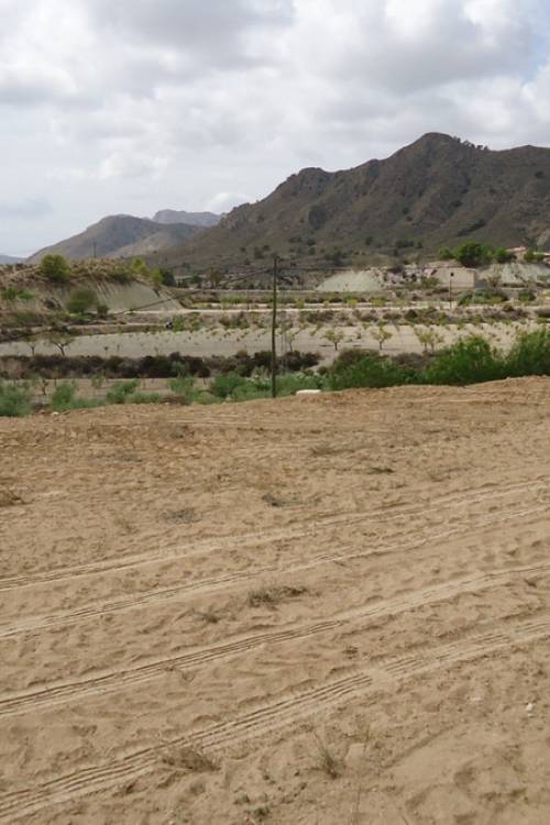 Land - Sale - Abanilla - Abanilla Centro