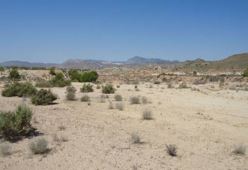 Land - Sale - Abanilla - Abanilla Centro