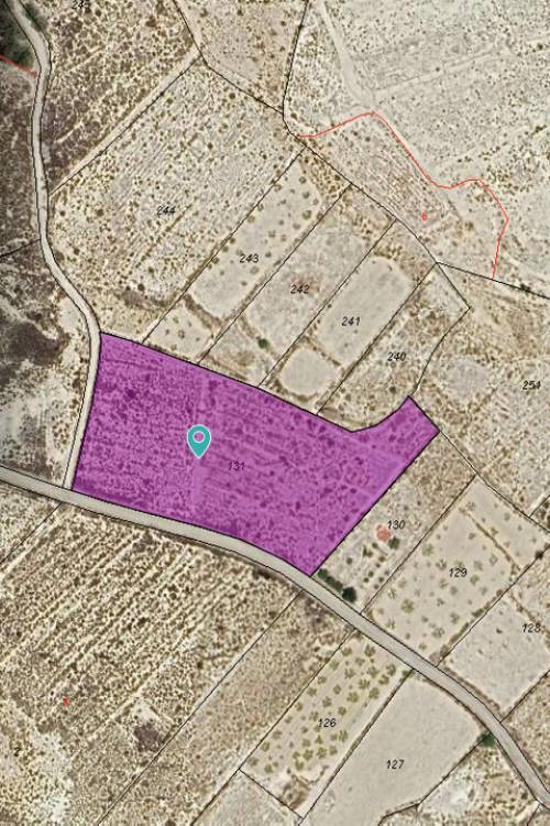 Land - Sale - Abanilla - Abanilla Centro