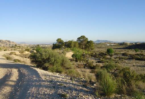 Land - Sale - Abanilla - Abanilla Centro