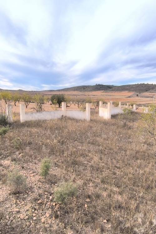 Land - Sale - Abanilla - Canada De La Lena