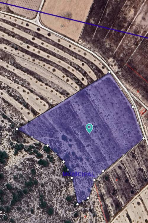 Land - Sale - Abanilla - Canada De La Lena