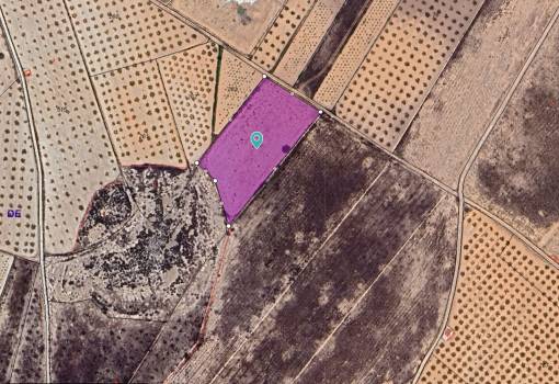 Land - Sale - Abanilla - Canada De La Lena