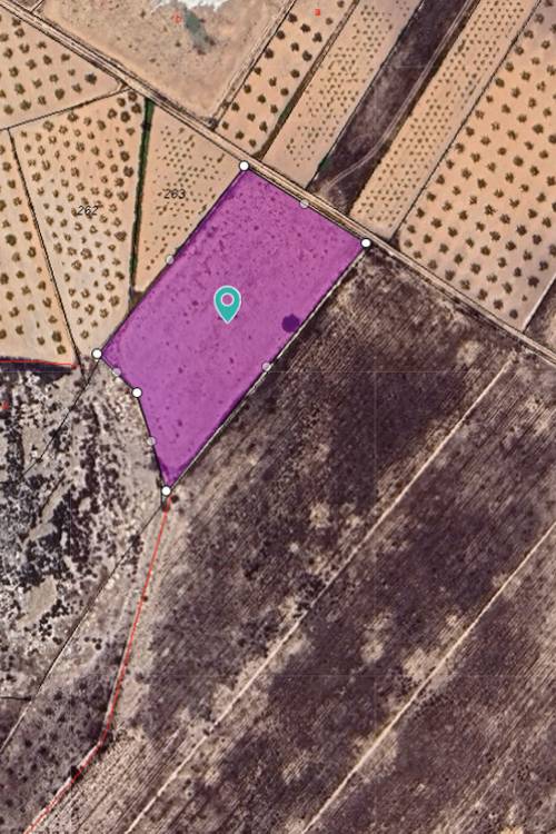 Land - Sale - Abanilla - Canada De La Lena