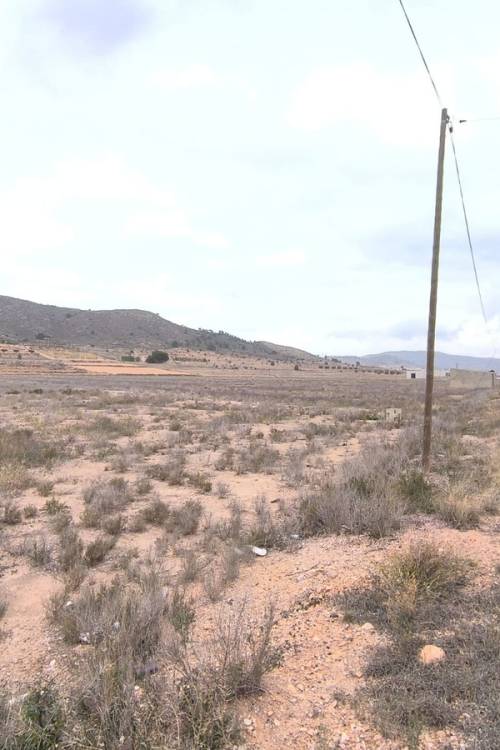 Land - Sale - Abanilla - Canada De La Lena