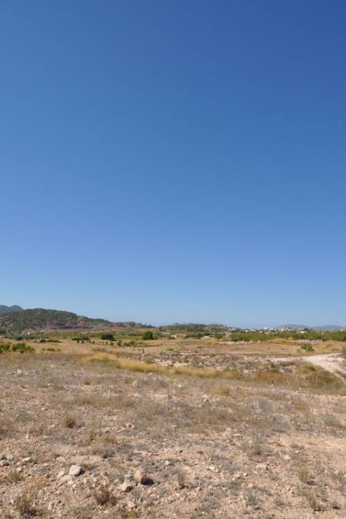 Land - Sale - Abanilla - Macisvenda