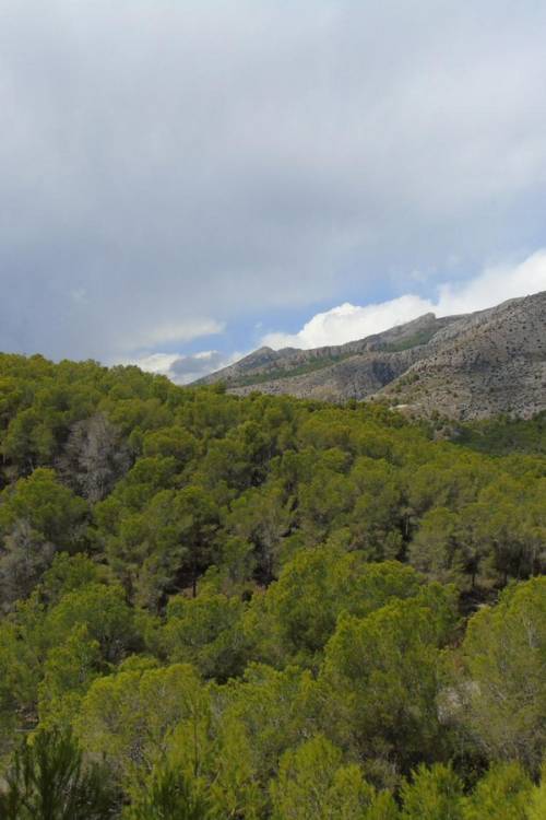 Land - Sale - Altea - Altea Centro