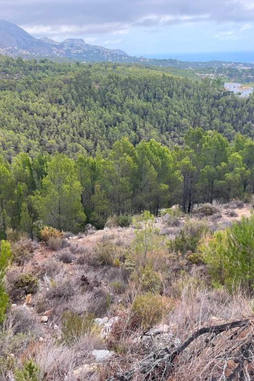 Land - Sale - Altea - Altea Centro