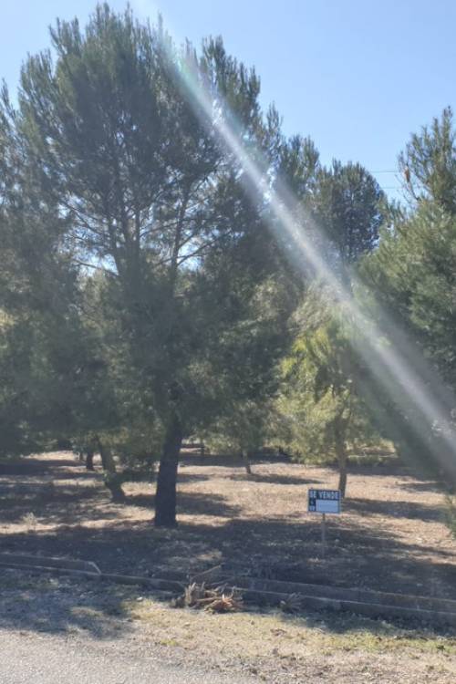 Land - Sale - Beneixama - Beneixama Centro