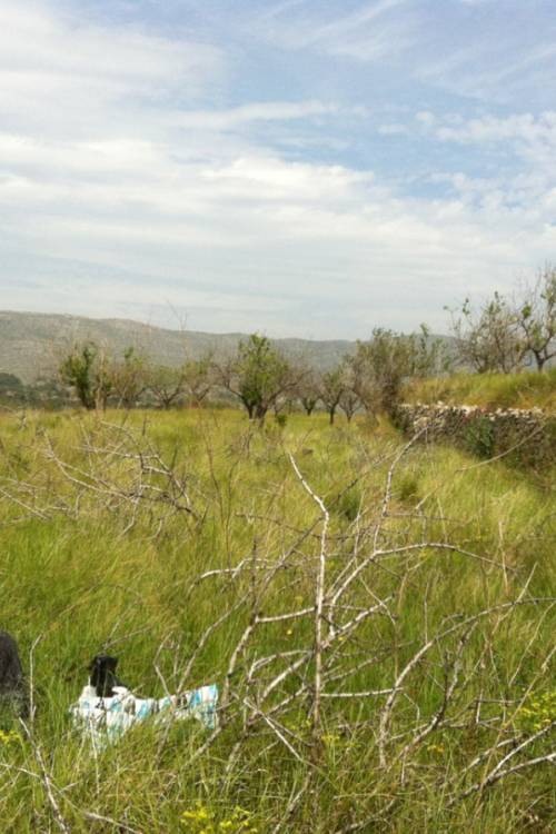 Land - Sale - Benissa - Benissa Centro