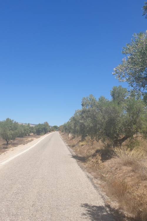 Land - Sale - Biar - Biar Centro