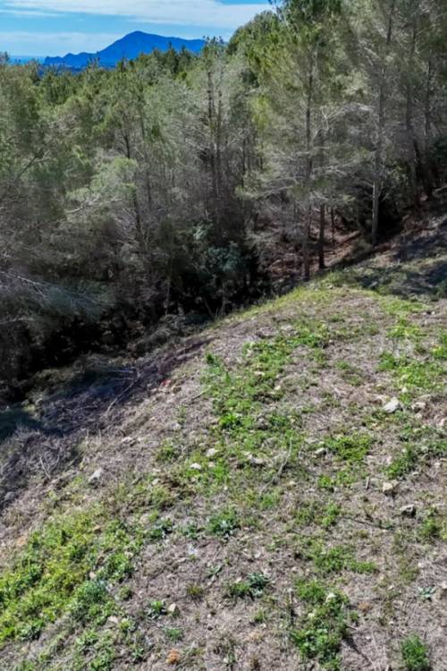 Land - Sale - Callosa d'en Sarria - Callosa d'en Sarria Centro