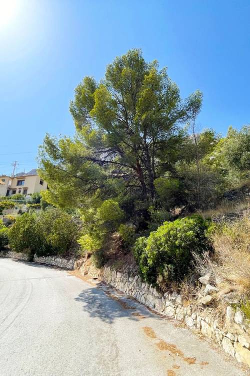 Land - Sale - Calpe - Calpe Centro
