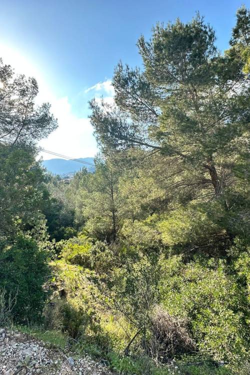 Land - Sale - Calpe - Calpe Centro