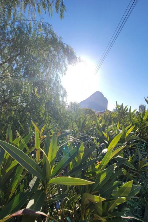 Land - Sale - Calpe - Calpe Centro