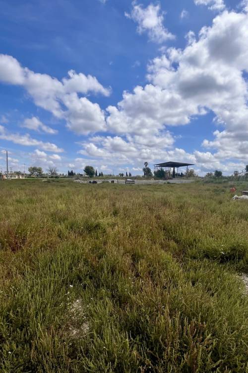 Land - Sale - Catral - Catral Centro