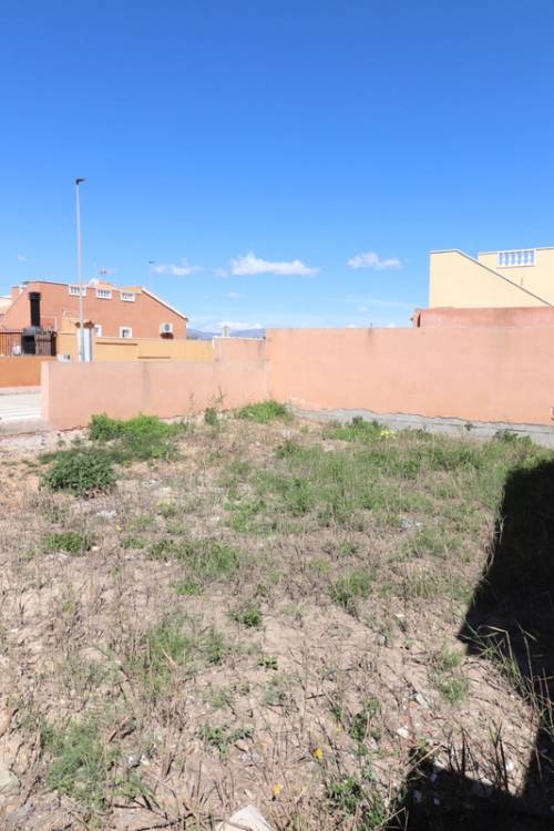 Land - Sale - Daya Nueva - Daya Nueva Centro