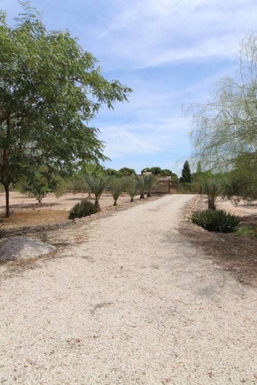 Land - Sale - Elche - Elche Centro