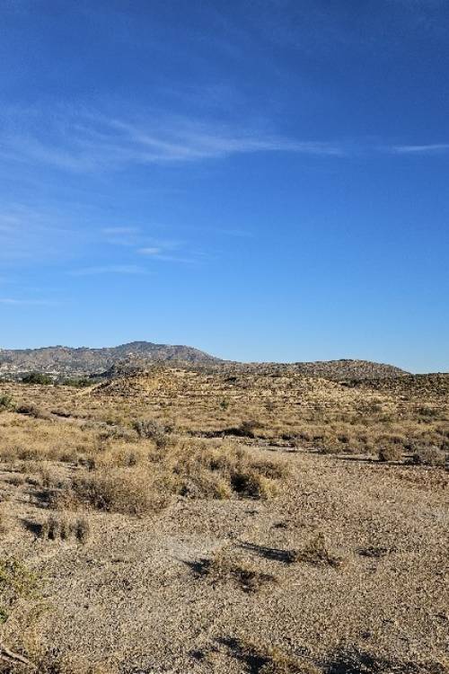 Land - Sale - Elda - Elda Centro