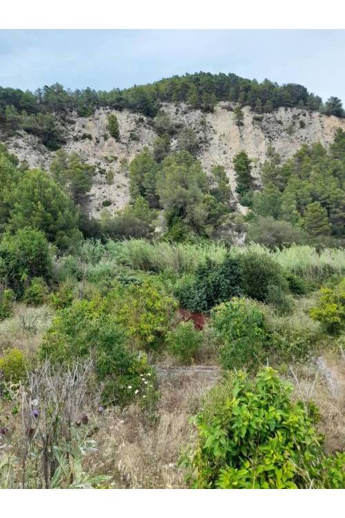 Land - Sale - Guadalest - Guadalest Centro