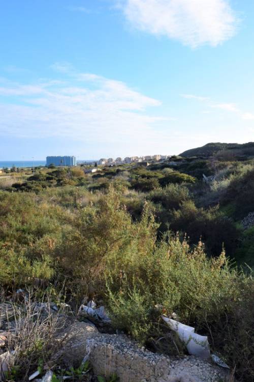 Land - Sale - Guardamar del Segura - Guardamar del Segura Centro