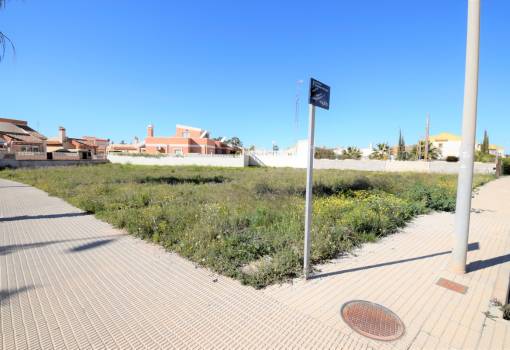 Land - Sale - Guardamar del Segura - Guardamar del Segura Centro