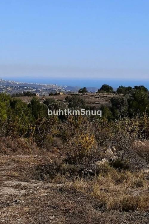 Land - Sale - Jalón - Bernia