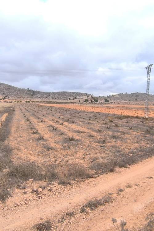 Land - Sale - Jalón - La Solana