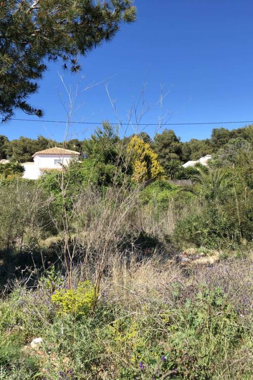 Land - Sale - Jávea - Xàbia - Jávea - Xàbia Centro