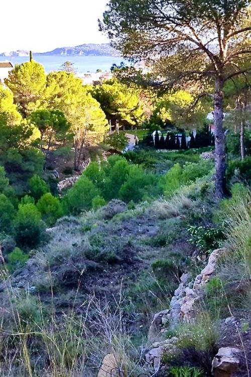 Land - Sale - Jávea - Xàbia - Jávea - Xàbia Centro