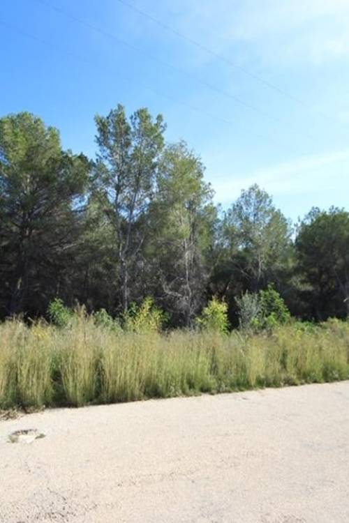 Land - Sale - Jávea - Xàbia - Pinosol